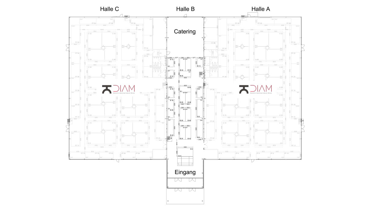 Hallenplan_ddm_2019
